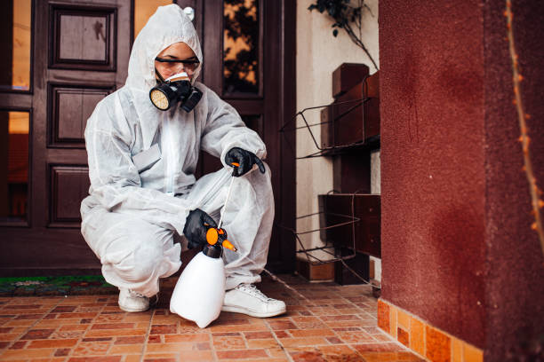 Reliable Wasp Removal contractor in Upland, PA by Show Me Pest Control